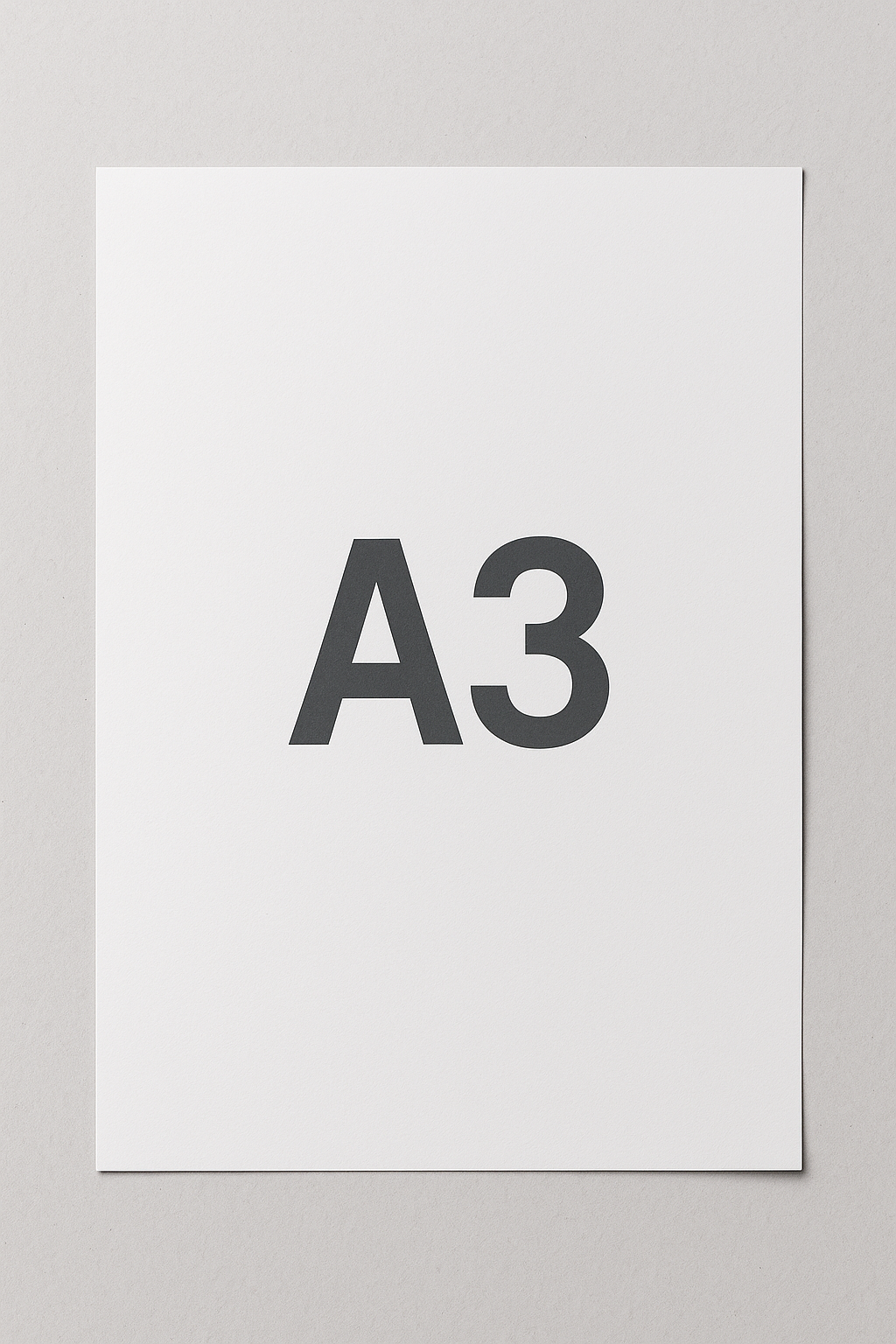 A3